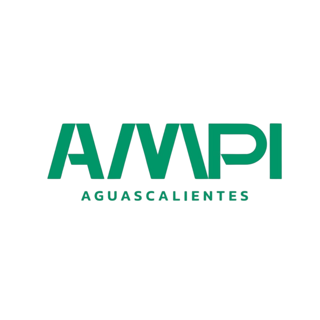 AMPI Aguascalientes, Asociación Mexicana de Profesionales Inmobiliarios